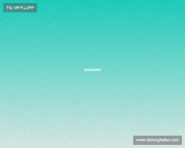 巴西国际今天比赛的比分